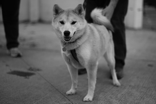 Prospect Park  |  Troy, NY - Apr 2026